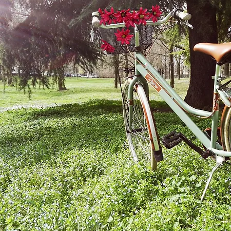 هوليدي إن إكسيرس بارما